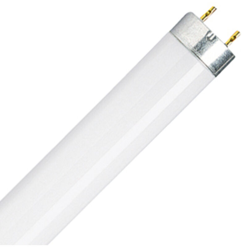 Relax Lampe fluorescente blanc chaud 13 w G5 - Osram