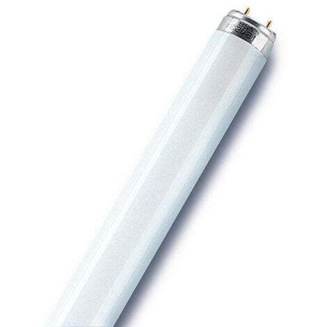 Osram – Tube fluorescent T8 opaque 2400 Lm 30 W – Longueur 90 cm – Culot T8 – Économie d'énergie 80 % – Durée de vie 20 000 h