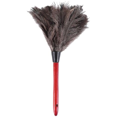 Ostrich Cleaning Feather Duster fan blades of various Photo Color--