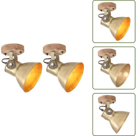 Ottone - vidaXL Lampade da Parete/Soffitto 2 pz Industriale Ottone 20x25 cm E27 - Ferro