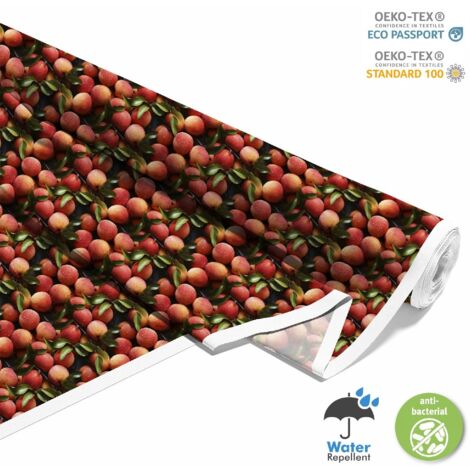 OUTDOOR DEKOSTOFFE OXFORD - Motiv Obst  DX6214