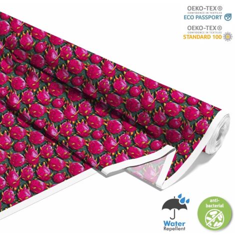 OUTDOOR DEKOSTOFFE OXFORD - Motiv Obst  DX6295