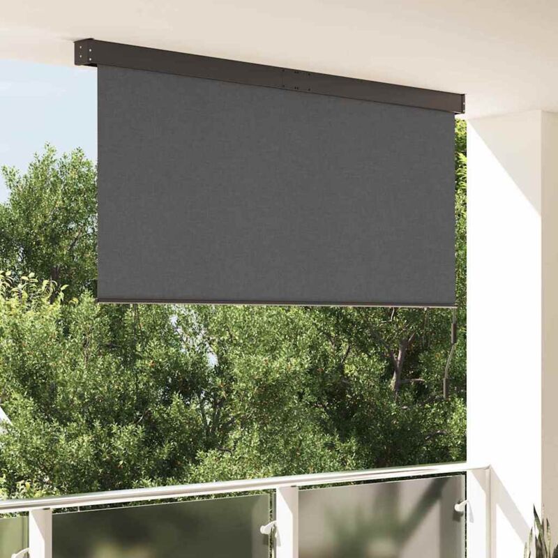 Vidaxl Outdoor Roller Blind Striped Anthracite 220 X 250 Cm Fabric