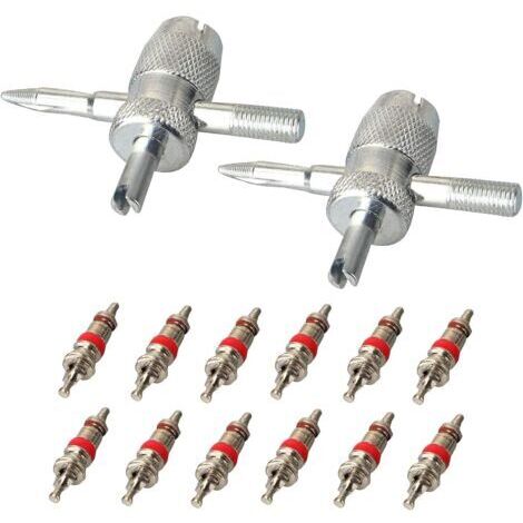 Outil de réparation de valve de pneu 2pcs 4 en 1 avec 12 noyaux de valve Extracteur de noyau de valve de pneu pour remplacement d'outil de nettoyage de pneu de vélo de voiture 14pcs