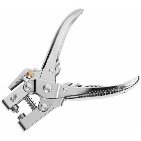 Outil multifonction Pince à oeillets perforatrice Kit d'outils complet avec 100 oeillets en laiton artisanat