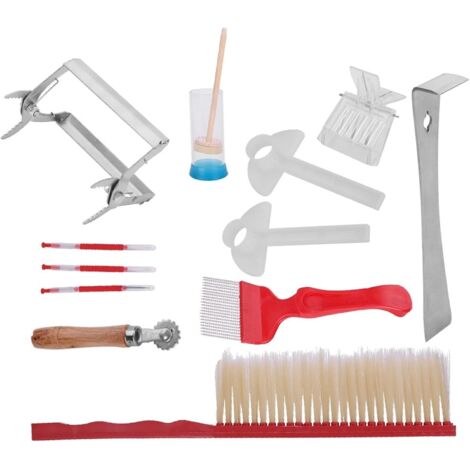 Outils D'apiculture Kit en Acier Inoxydable Robuste Poignée en Plastique Ruche Outil Abeille Brosse Marquage Cage Extraction Fourche 12 Pcs