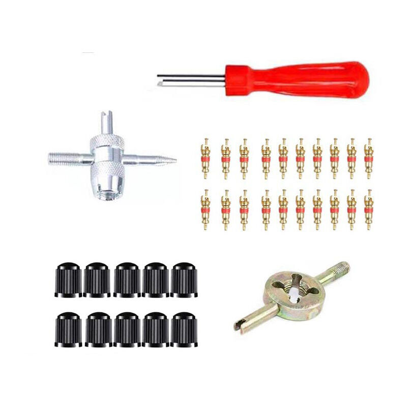 Catherine - Outils de démontage de valve de pneu de 33 pièces, extracteur de noyau de valve de remplacement de voiture, kit de réparation de pneu