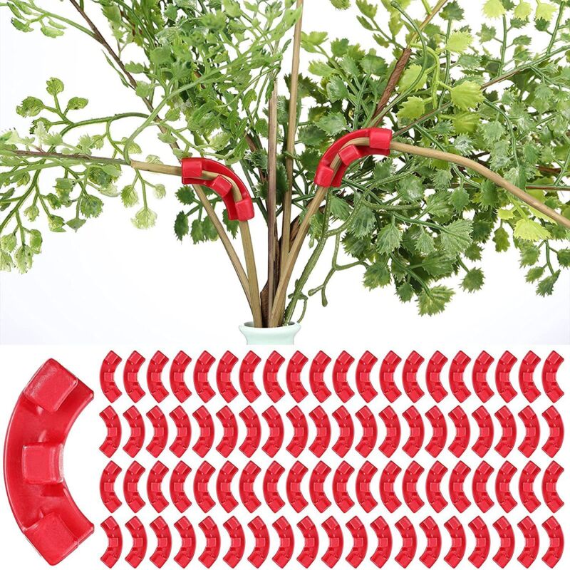 Outils de toilettage des plantes de jardin de 60 pièces, clips d'entraînement pour cintreuse de plantes, coudes d'entraînement pour l'éclairage des