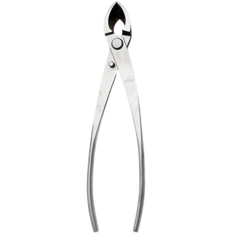 Outils pour bonsaïs, jardin, arbres, tumeurs, nœuds