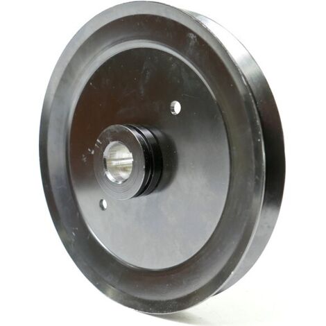 Outils Wolf – Poulie pour moteur thermique 206mm – Diamètre axe 25mm – Compatible tondeuses autoportées Wolf – Performance optimale