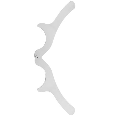 Ouvre-oursin en acier inoxydable multifonction pour fruits de mer