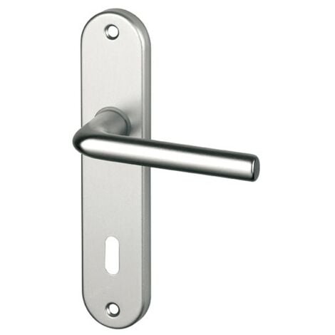 SOFOC ALPERTEC - Ensemble Courchevel alu argent sur plaque clé