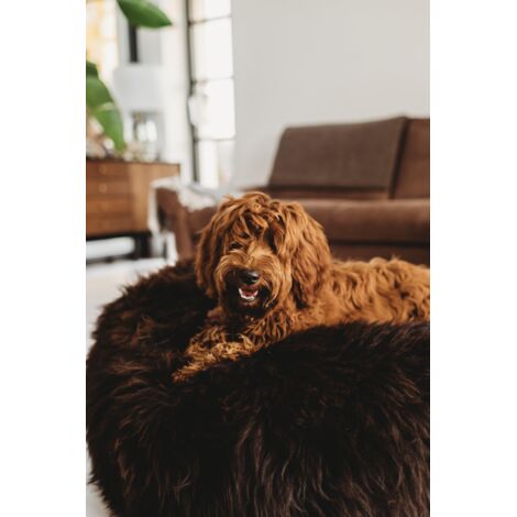 Ovales Haustierbett aus natürlichem Schaffell – Schokoladenbraun, 120 cm