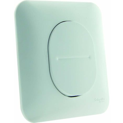 SCHNEIDER ELECTRIC Ovalis - Bouton poussoir, 10 A, connexion automatique - Blanc