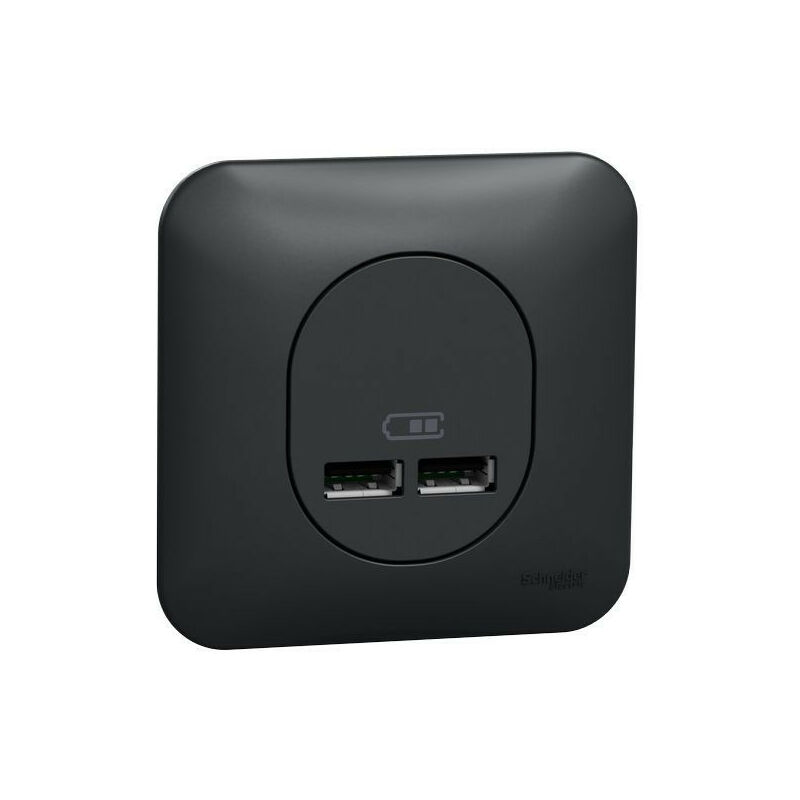 Schneider Electric - Ovalis - Double chargeur usb 2.1 a - Avec plaque de finition -Anthracite (S460407)