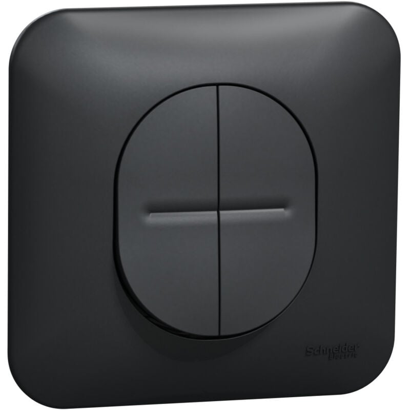 Ovalis double va et vient 10AX avec griffes Avec plaque -Anthracite SCHNEIDER S465214