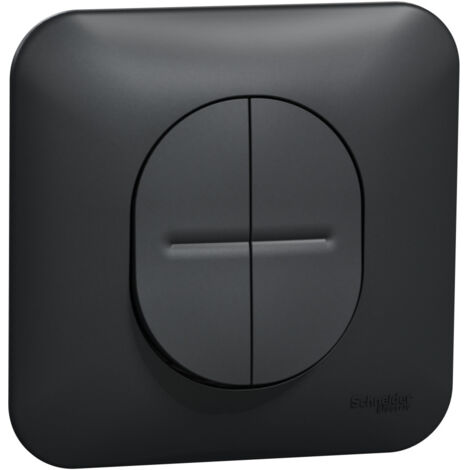Ovalis double va et vient 10AX avec griffes Avec plaque -Anthracite SCHNEIDER S465214