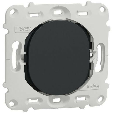 Ovalis - obturateur - sans plaque de finition -Anthracite (S461666)