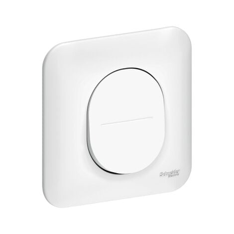Ovalis Ovalis - Bouton poussoir à fermeture - 10A avec plaque Blanc S260206