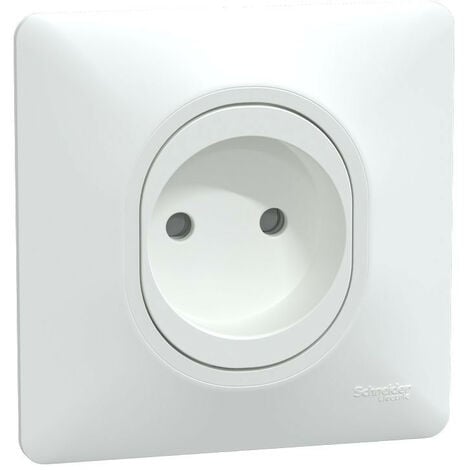 SCHNEIDER ELECTRIC Ovalis - prise à puits - 2P - 16A - bornes vis - Blanc - avec griffes - plaque (S321033)