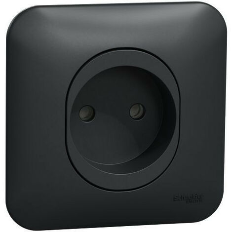 Ovalis - prise de courant - 2P - 16A-avec griffes Avec plaque -Anthracite (S465033)