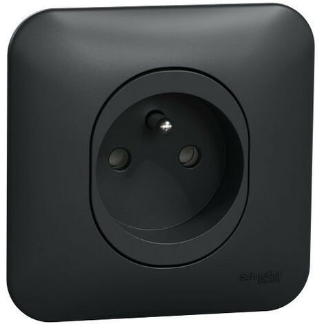 Ovalis - prise de courant - 2P+T -16A - avec griffes Avec plaque -Anthracite (S465059)