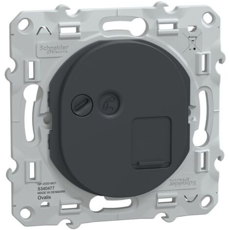 Ovalis - prise RJ45 - cat6a - grade 3 (multimédia +) (longue distance) -Anth (S340477)
