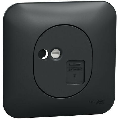 Ovalis - Prise RJ45 - cat.6UTP - grade 1 - tél/informat Avec plaque -Anthracite (S460475)