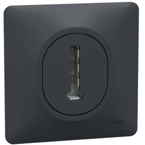 OVALIS PRISE TÉLÉPHONE EN T 8 CONTACTS AVEC PLAQUE ANTHRACITE SCHNEIDER S340496