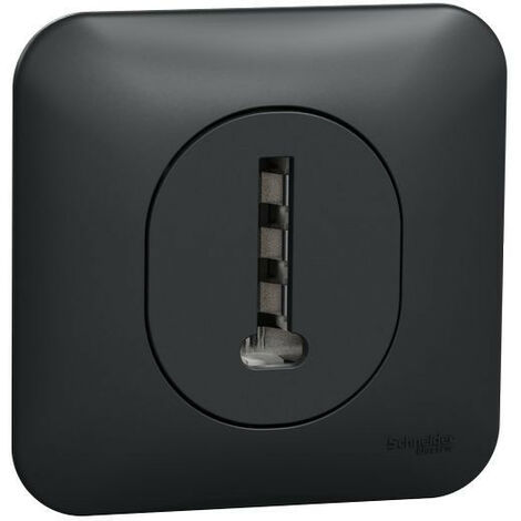 Ovalis - Prise téléphone en T - 8 contacts Avec plaque de finition -Anthracite (S460496)