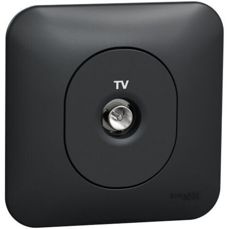 Ovalis prise TV simple fixation avec griffes Avec plaque -Anthracite SCHNEIDER S465405