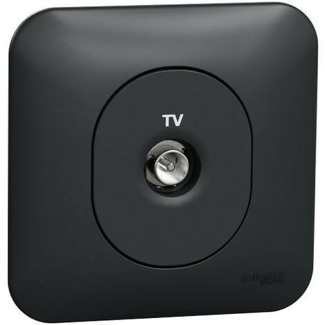 Ovalis prise TV simple fixation avec griffes Avec plaque -Anthracite SCHNEIDER S465405