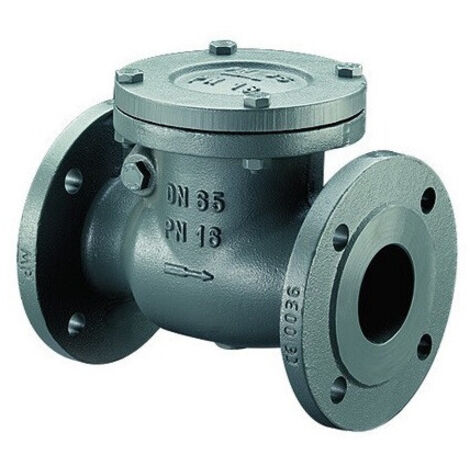 OVENTROP Valvola di ritegno con flange secondo EN 1092-2 PN 16 DN 40, ghisa grigia, guarnizioni senza amianto, 1073049