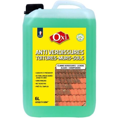 OXYTOL Anti-Grünbelagsbehandlung für Fassaden, 6 L Der Vielfraß OXI