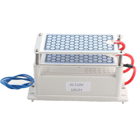 Ozongenerator (10 g/h) – Luftreiniger für Zuhause, Büro und Auto – Beseitigt Gerüche und Keime – 110 V