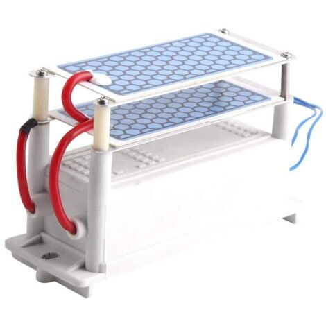 Ozongenerator (110 V Wechselstrom), 10 g/h, zweischichtig, mit poröser Keramikplatte, geeignet für Kühlschrank, Wäschetrockner und Auto-Luftreiniger