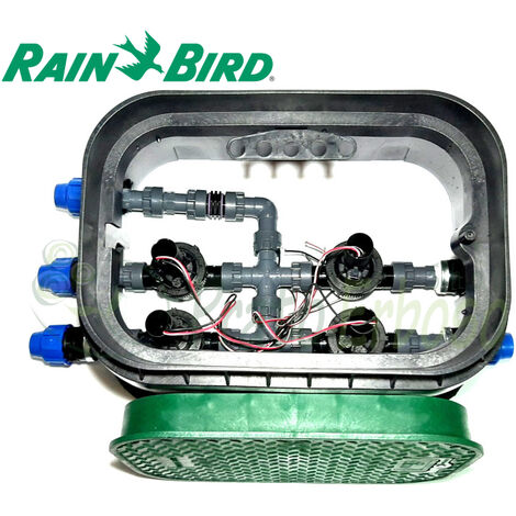 PA-100-DV-3-9V - Pozzetto assemblato da 1" 3 zone