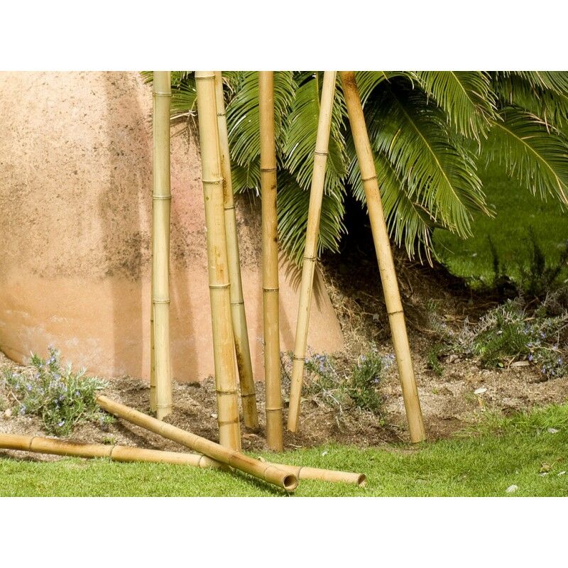 10 x Tuteur Décoratif Bambou 180 cm, 35/40mm. Tuteurs Ronds en Bois, Piquets de Jardin, Séparation de pièce