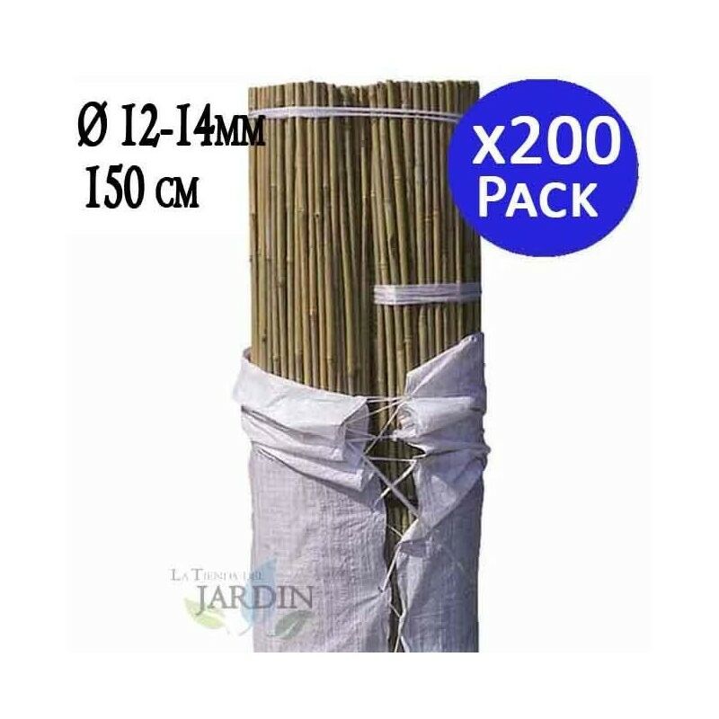 Tuteur en Bambou 150 cm, 12-14 mm (Pack 200). Baguettes de bambou, canne de bambou écologique pour soutenir les arbres