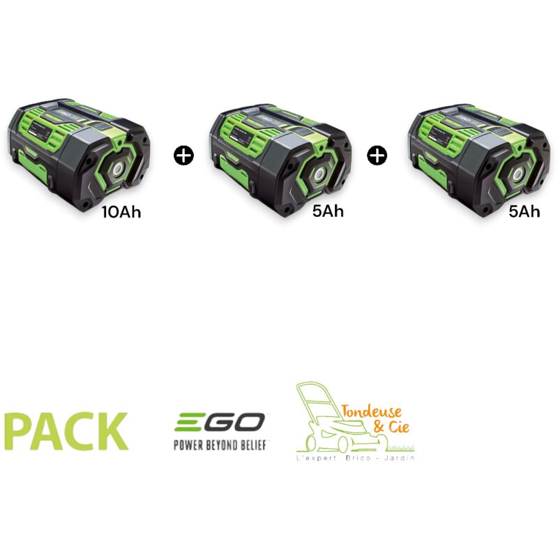 Pack 20AH de batteries Ego Power 56V PACK-20AH