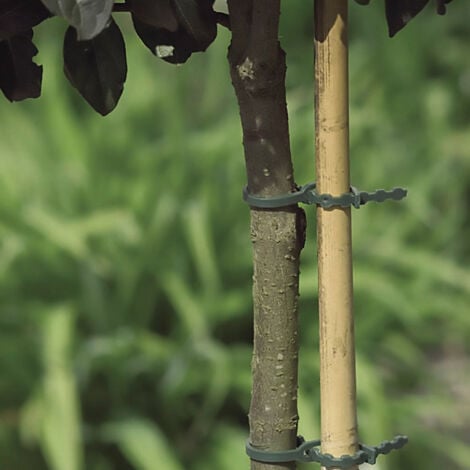 CELLOPLAST PACK 40 BRIDAS DE PLASTICO PARA TUTORES FIX 17 CM VERDE NORTENE