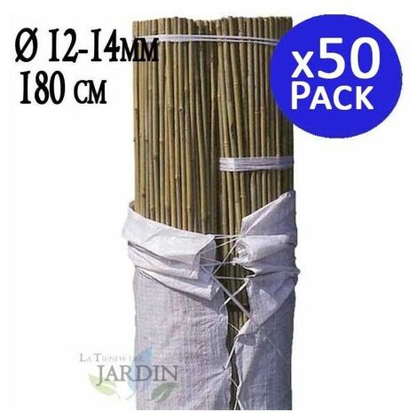 Pack 50 x Tuteurs en Bambou 180 cm, diamètre 12-14 mm. Utilisation agricole pour fixer des arbres, des plantes et des légumes