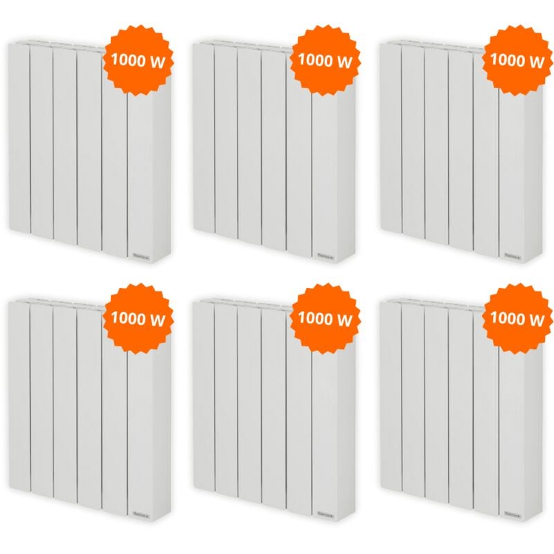 Thermor - Pack 6 radiateurs électriques 1000 w Baléares 2