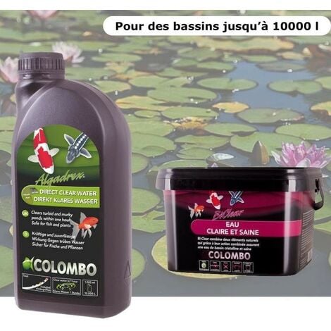 Pack anti eau verte et clarté optimale pour bassins de jardin de 10000 litres