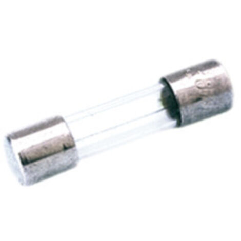 Pack de 100 uds Fusibles de Cristal de 5 x 20 mm 2.5 A Electro Dh 06.103/T/2.5 8430552003655