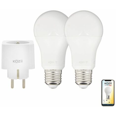 Ampoule à filament LED A65, culot E27, consommation de 8W pour une  équivalence de 75W, intensité lumineuse de 1055 lumens, lumi