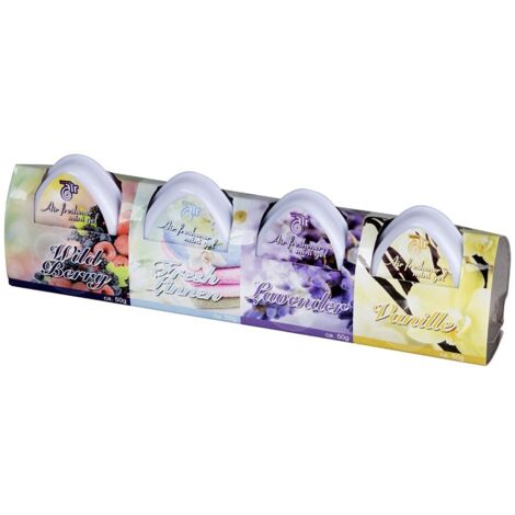 Pack de 4 Désodorisants 50g Parfums Assortis
