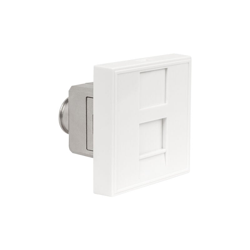 Pack de 4 Prises Terminales RJ45 Catégorie 6A, Format 45x45 mm - 2 Modules, Idéal pour Réseaux Haut Débit, Compatible Ethernet Gigabit. Parfait pour