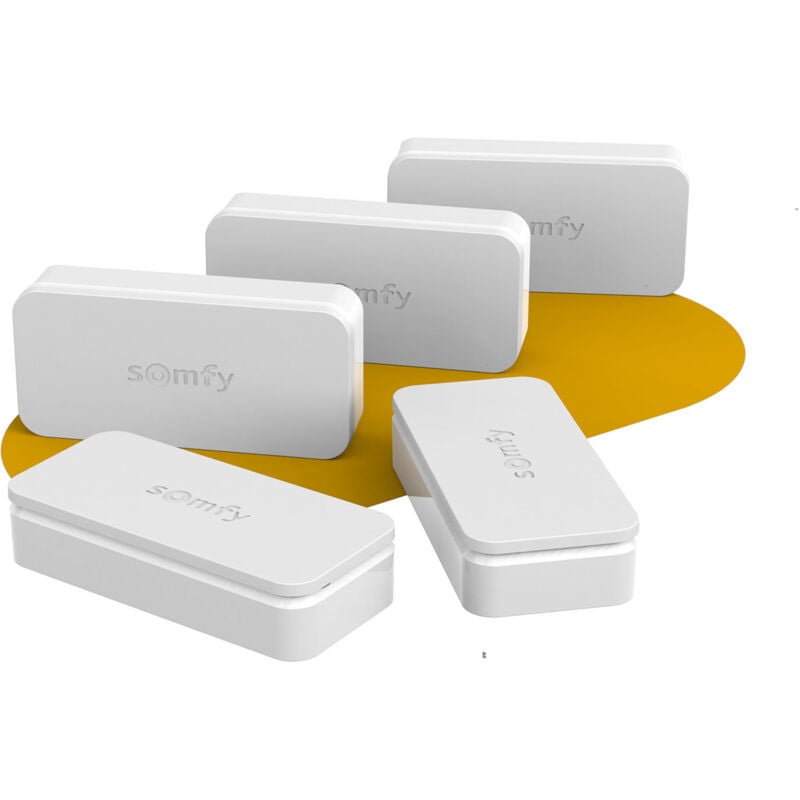 SOMFY 2401488 - Pack de 5 IntelliTAG - Détecteurs auto-protégés de vibration pour intérieur ou extérieur - Détection avant l'ouverture - Compatibles