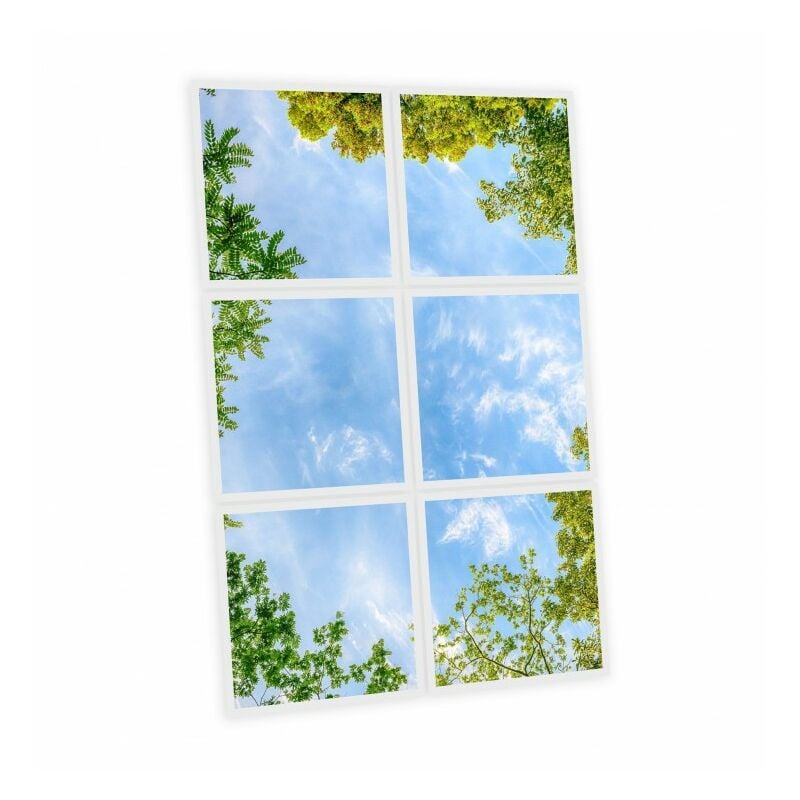 Deeplight - Pack de 6 dalles led imprimées - Central Park - 600x600mm - Fabriqué en France (alimentations non fournies)